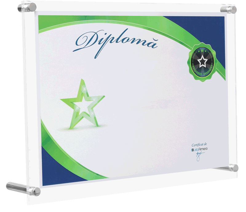 diploma cea mai mare firma din romania, judetul constanta, domeniul 3313: repararea echipamentelor electronice si optice