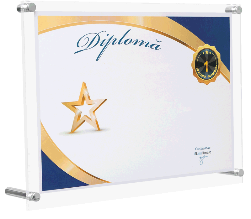 diploma locul 1 in top profit romania, localitatea constanta, domeniul 3313: repararea echipamentelor electronice si optice