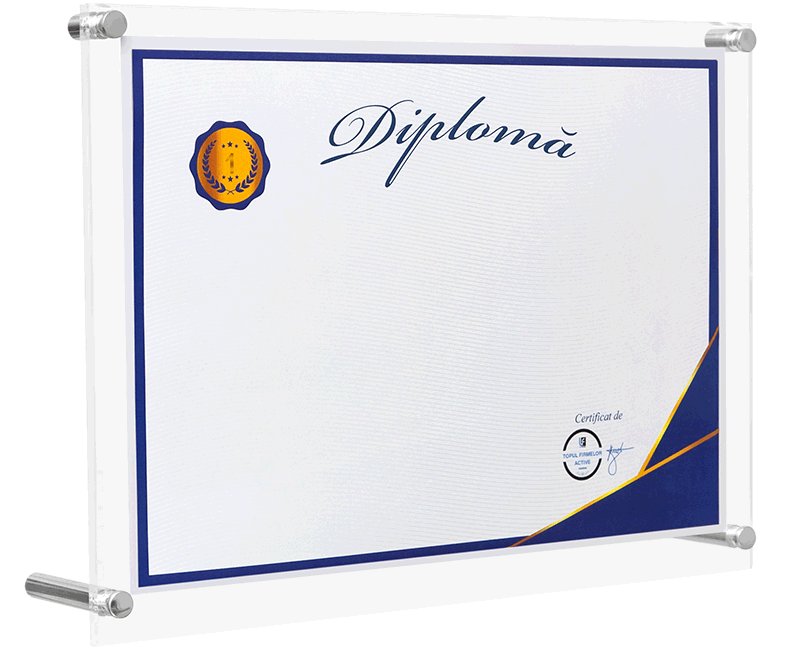 diploma locul 1 in top profit romania, uat municipiul constanta, domeniul 3313: repararea echipamentelor electronice si optice