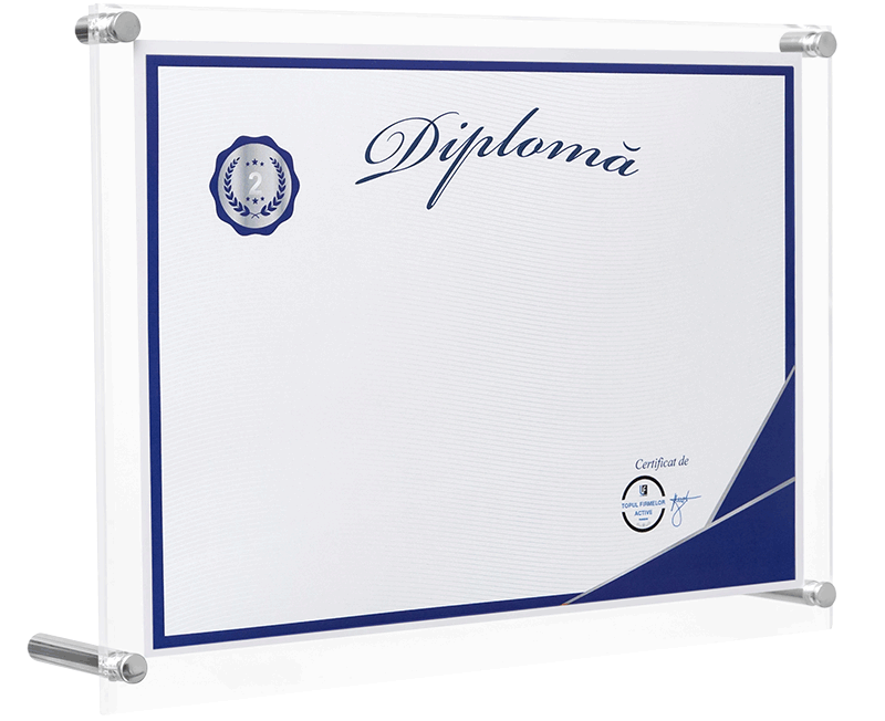 diploma locul 2 in top afaceri romania, uat comuna targsoru vechi, domeniul 56: restaurante si alte activitati de servicii de alimentatie