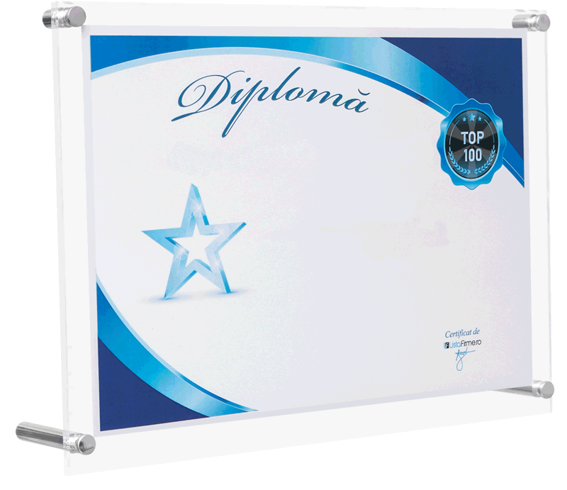 diploma firma in top 100 profit romania intreprinderi mari